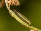 20260310135121_MG_6036.jpg
