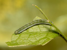 20260406210544_MG_2025.jpg