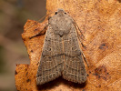 20260910170441_MG_7154.jpg