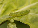20262310181041_MG_8197.jpg
