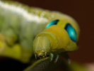 20262410211742_MG_8863.jpg